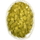 Centennial 100g (exp. 10/2028)