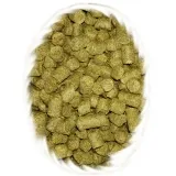 Nelson Sauvin 100g (exp. 4/2028)