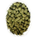 Eclipse 100g (exp.3/2027)