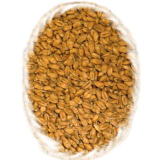 Pšeničný nakuřovaný slad, Oak Smoked Wheat Malt