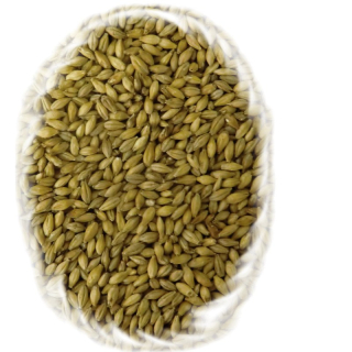 Vídeňský slad, Vienna Malt
