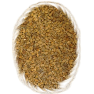 Pšeničný tmavý slad, Dark Wheat Malt