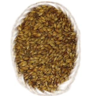 Karamelový slad III, CARAMUNICH MALT® Type III