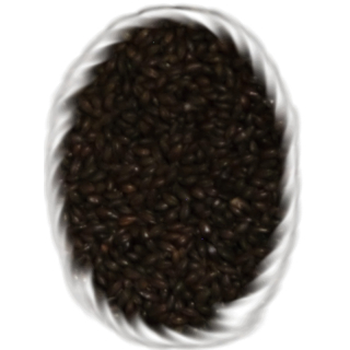 Barevný slad z odpluchovaného ječmene, Carafa Special® Type III