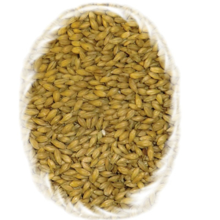 Nakuřovaný slad, Beech Smoked Barley Malt