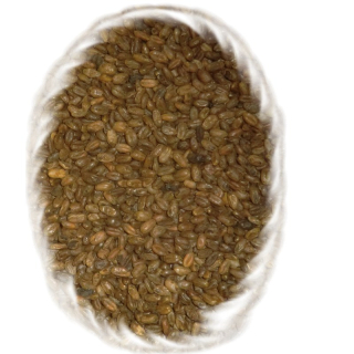 Pšeničný karamelový slad, CARAWHEAT®