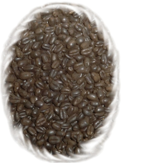 Čokoládový pšeničný pražený slad, Chocolate Wheat Malt (roasted malt)