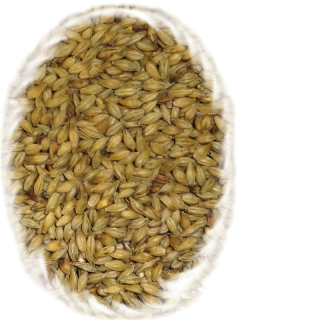 Mnichovský slad II, Munich Malt II
